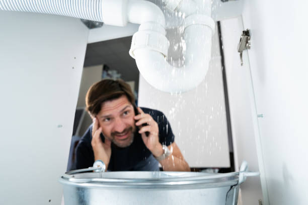 Best Affordable Plumbing Services  in Benton Harbor, MI