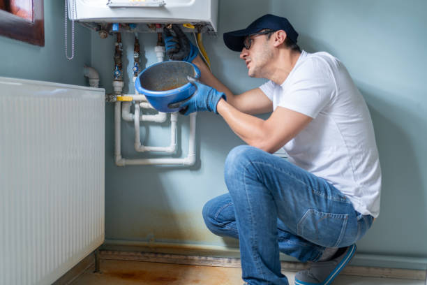 Best Local Plumber Services  in Benton Harbor, MI